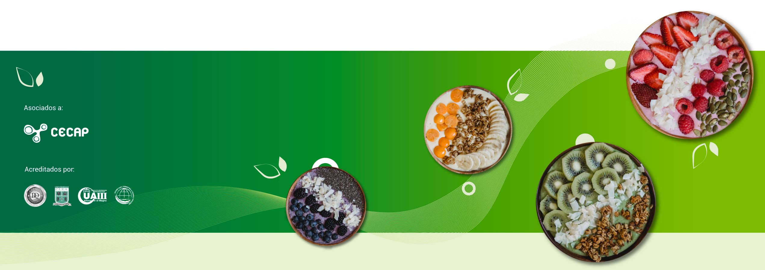 Instituto DYN cursos de nutrición y dietética Instituto DYN cursos de nutrición y dietética