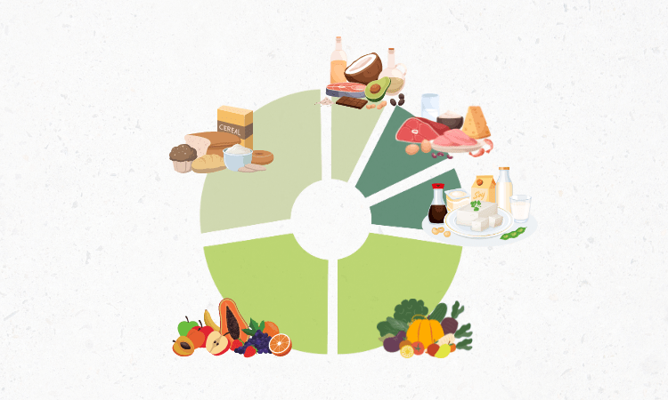 Descubre cómo se clasifica la comida en la rueda de los alimentos para mejorar la alimentación de las personas