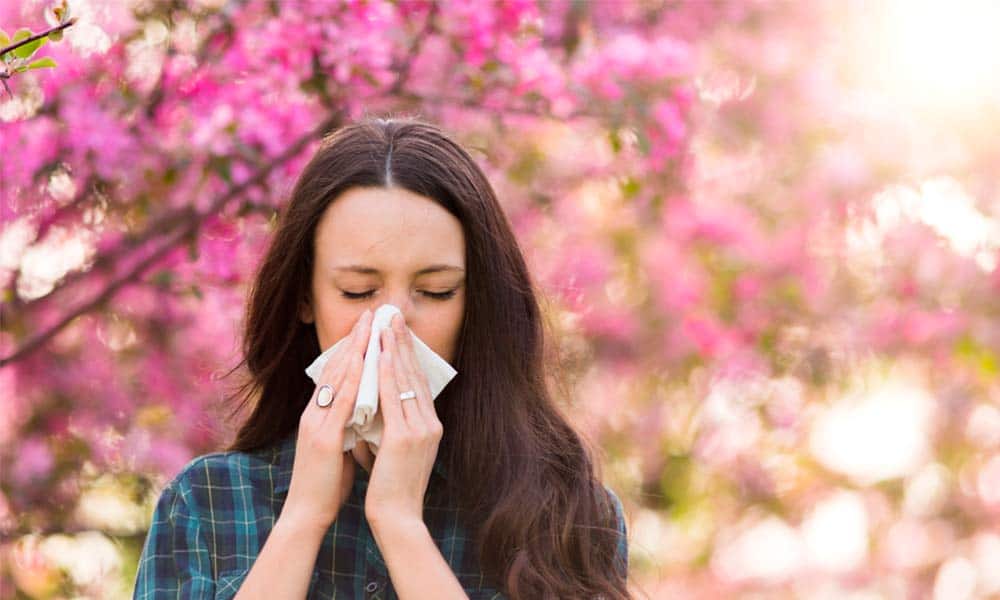 Conoce cuál es el mejor antihistamínico natural para combatir las alergias