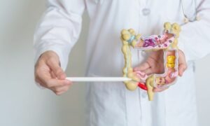 Te contamos los aparatos que intervienen en la nutrición.