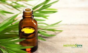Conoce los usos, propiedades, contraindicaciones y beneficios del árbol del té