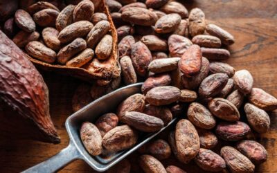 ¿Cuáles son los beneficios del cacao puro?