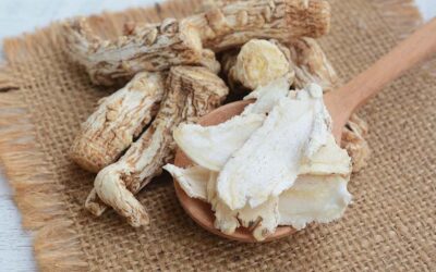 Estudiar el Curso de Naturópata Profesional te capacitará para aplicar las plantas medicinales como terapias naturales para el tratamiento de distintas dolencias