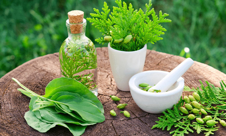 Naturopatía Funcional: Tratamientos Naturales para una Salud Óptima