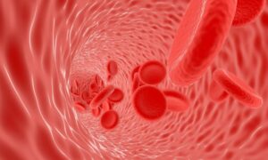 Conoce la nutrición celular y sus importancia